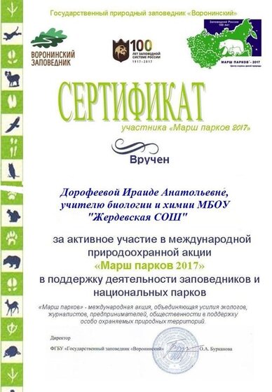 Мой сертификат.jpg