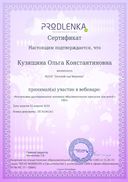 Вебинар ОВЗ.jpg