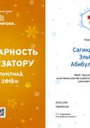 Сагиндикова Эльбике Абибуллаевна - благодарность организатору (2).png