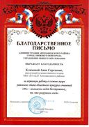 Благодарственное письмо за работу в жюри 2017 год.jpeg