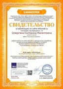Свидетельство проекта спецкурс.jpg