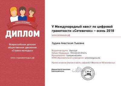 Диплом Сетевичок.png