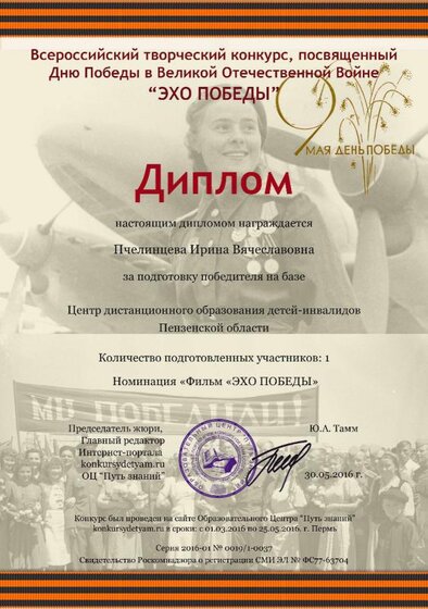 Диплом педагога Пчелинцева Ирина Вячеславовна.jpg
