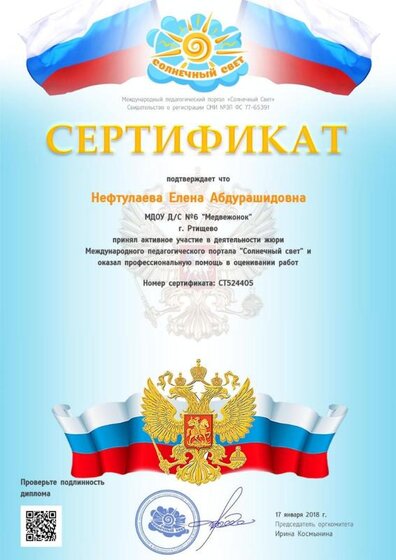 диплом жюри.jpg