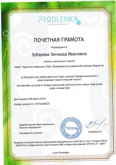 за высокий профессионализм.jpg