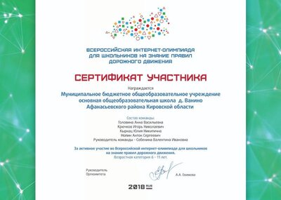 сертификат учащихся по ПДД.jpg