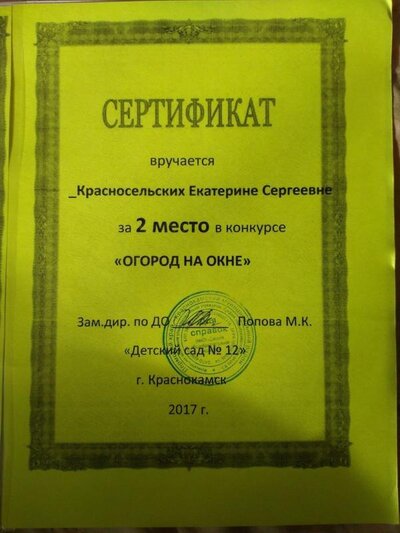 огород на окне7.jpg