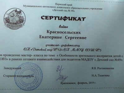 49 дс.jpg