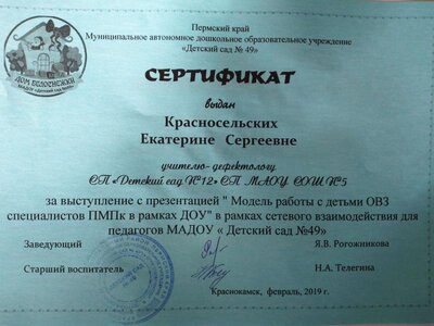 49 дс-1.jpg