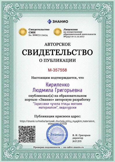 Certificate_zarisovki_chuchela_ptitsy_myagkim_materialom_videouroki.jpg