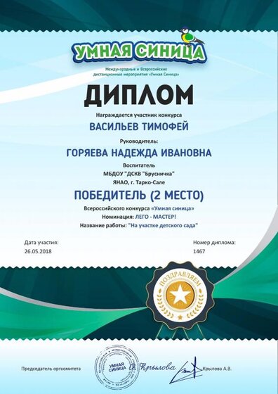 Васильев Тима 2018.pdf.jpeg