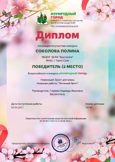 диплом (Соколова 20172).pdf.jpeg