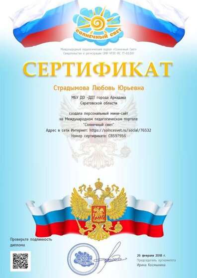 Мини сайт.jpg