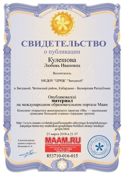 свидетельство о публикации.jpg