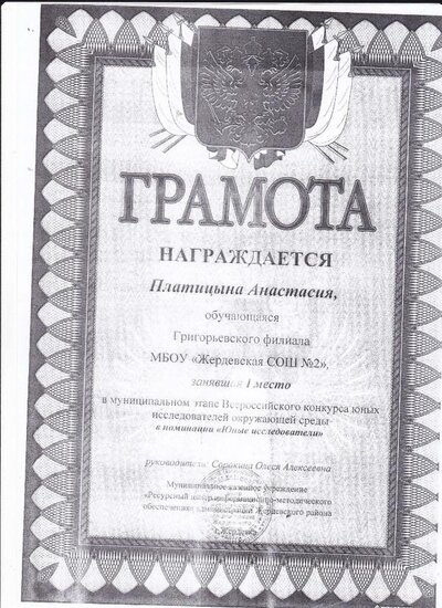 IMG_0009.pdf.jpeg