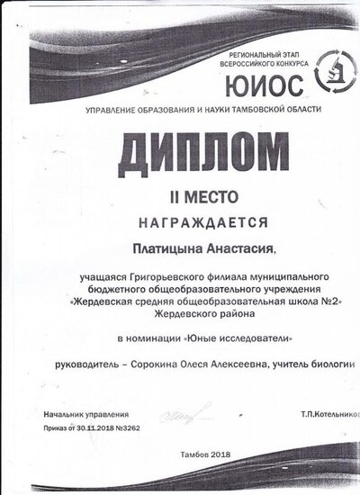 IMG_0010.pdf.jpeg