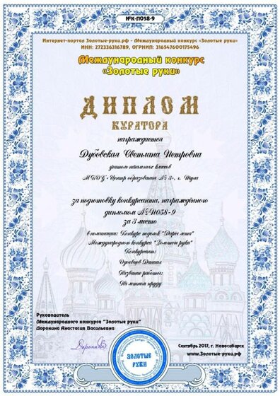 №П058-9-куратор.jpg