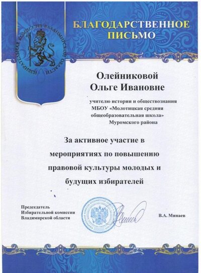 Благодарственное письмо ИК ВО.jpg