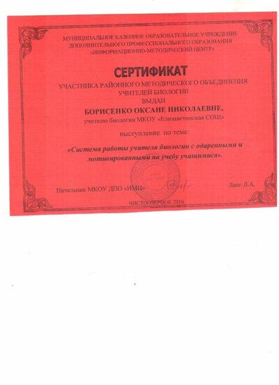 сертификат.jpg