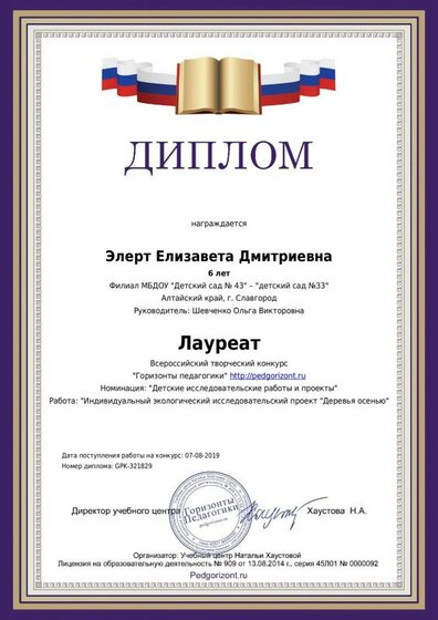 diplom_author_321829_1.pdf.jpeg