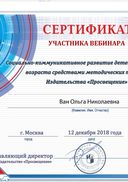 Сертификат участника вебинара.jpg