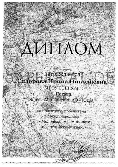 диплом чемпионат.pdf.jpeg