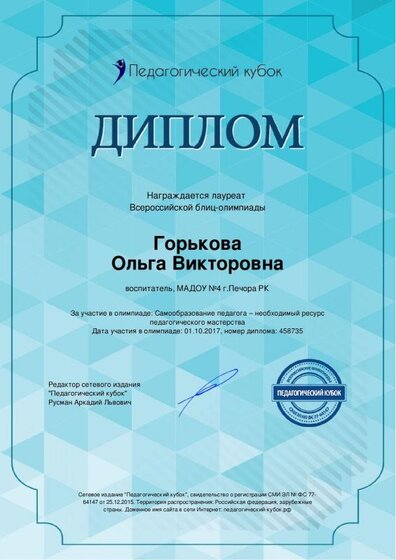 ДИПЛОМ САМООБРАЗ,(-).pdf.jpeg