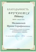 2015-Комп.лабиринт.jpg
