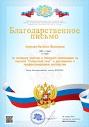 диплом мой.jpg
