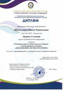 Диплом_ИНР.pdf.jpeg
