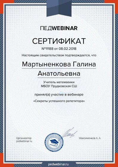 свидетельство педвебинара.pdf.jpeg