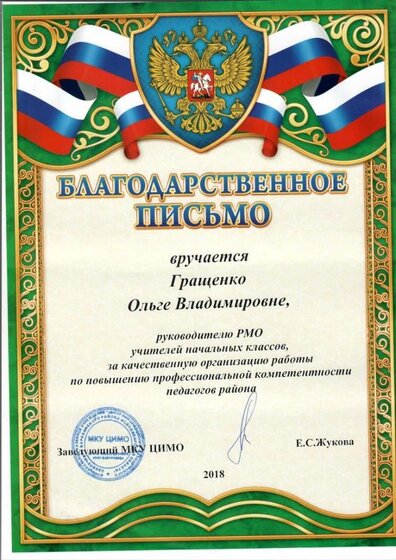 райн РМО 2018.jpg