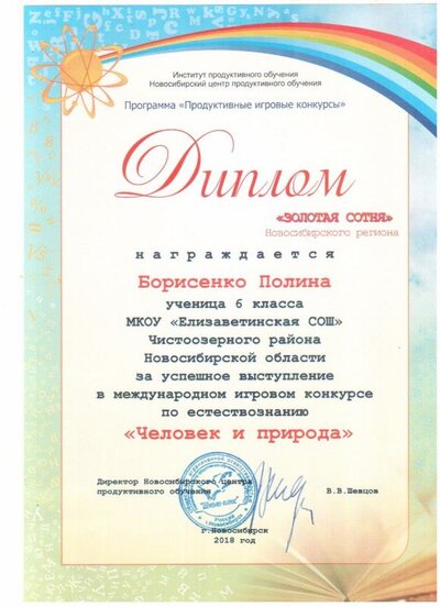 чип.jpg