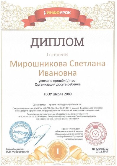 Диплом Инфоурок.jpg