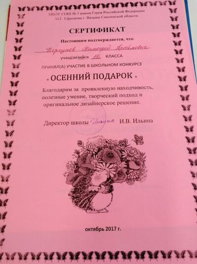 IMG_20191030_152228.jpg