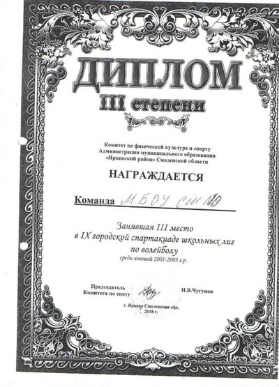 диплом 6.jpg