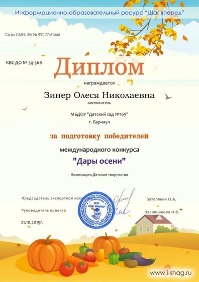 КВС-ДО № 59-568-Зинер Олеся Николаевна.jpg