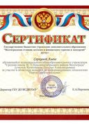 серкина алена.jpg
