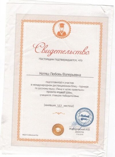 Свидетельство Новый урок.jpg