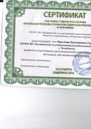 img005.jpg