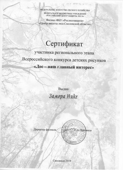 сертификат регионального конкурса рисунков Замора Ника.jpg