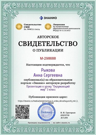 Свидетельсво.jpg