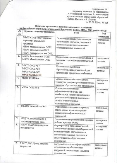 приказ 228 (2).jpeg