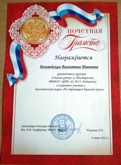 IMG_20191029_121052.jpg