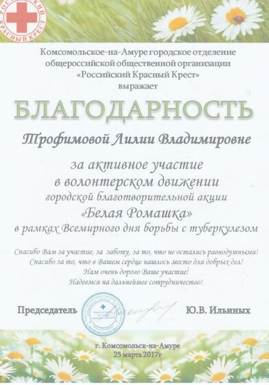 ромашка.jpg