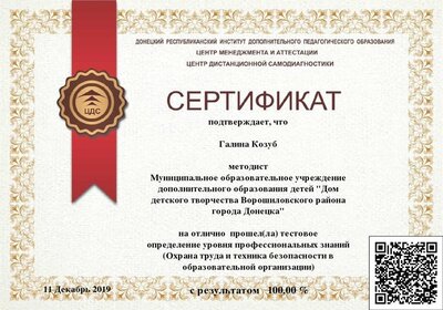 Охрана_труда_и_техника_безопасности_в_образовательной_организации-Сертификат_15361.pdf.jpeg