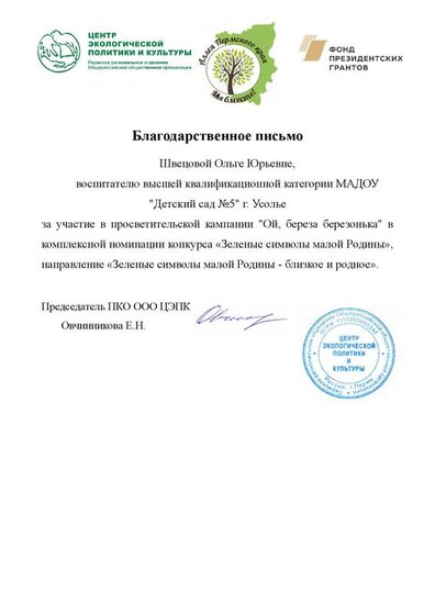 BP_Shvetsova_Usolye.pdf.jpeg