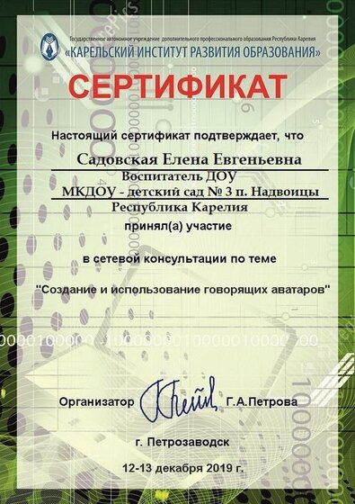 Садовская Е.Е. - Сертификат_декабрь_2019.jpg