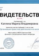 Дисо Вебинар Проектная деятельность.pdf.jpeg