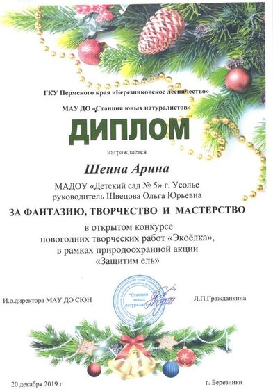 дипломЕлка.jpg